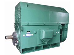 YJTG-200L1-6A/18.5KWYKK系列高压电机