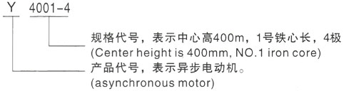 西安泰富西玛Y系列(H355-1000)高压YJTG-200L1-6A/18.5KW三相异步电机型号说明